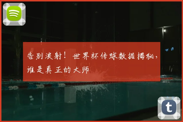 告别浪射!世界杯传球数据揭秘,谁是真正的大师